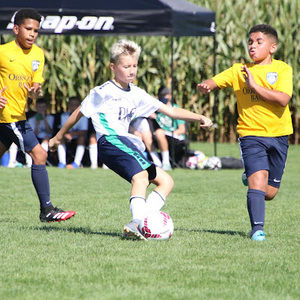 Meet your Posher, Dean